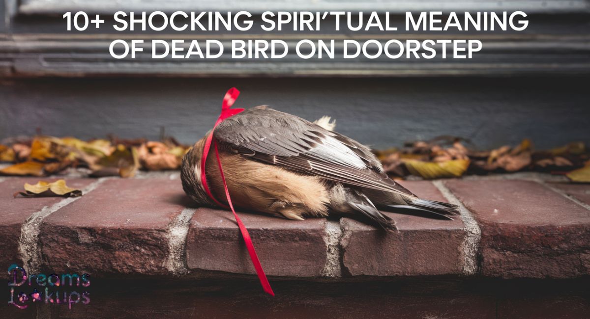 10+ Shocking Spiritual Meaning of Dead Bird on Doorstep