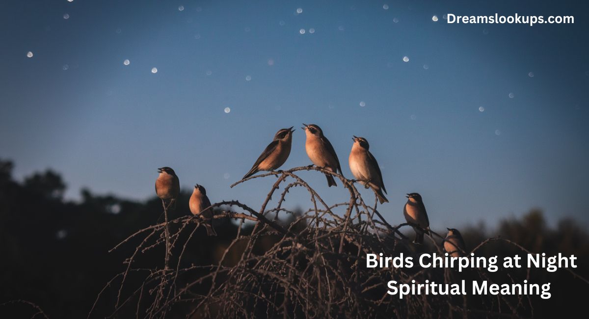 Birds Chirping at Night Spiritual Meaning (Shocking Meanings)