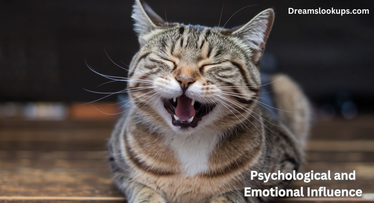 Psychological and Emotional Influence