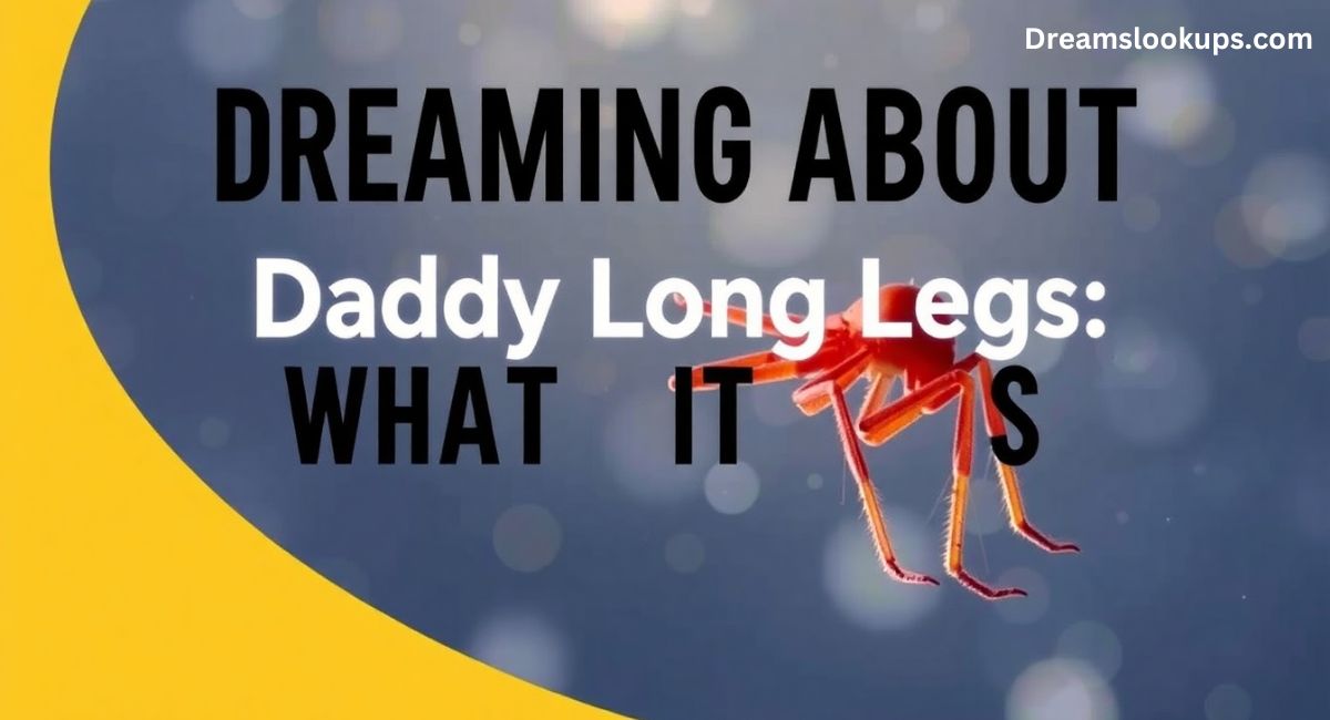 Dreaming About Daddy Long Legs: What Does It Mean?