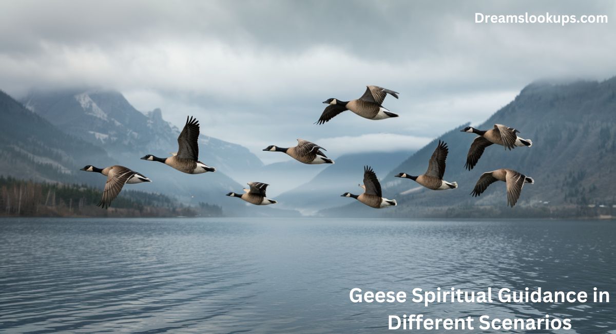 Geese Spiritual Guidance in Different Scenarios