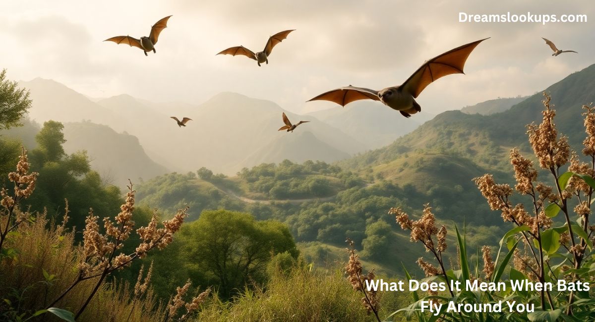 What Does It Mean When Bats Fly Around You