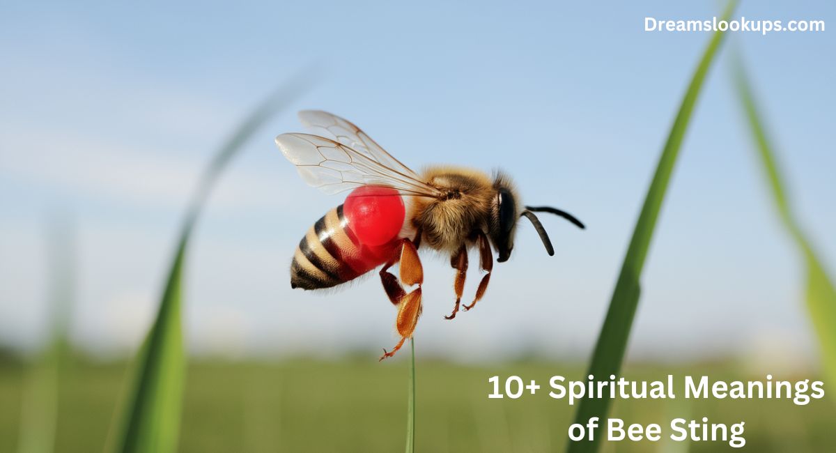 10+ Spiritual Meanings of Bee Sting