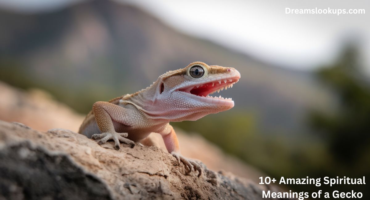 10+ Amazing Spiritual Meanings of a Gecko