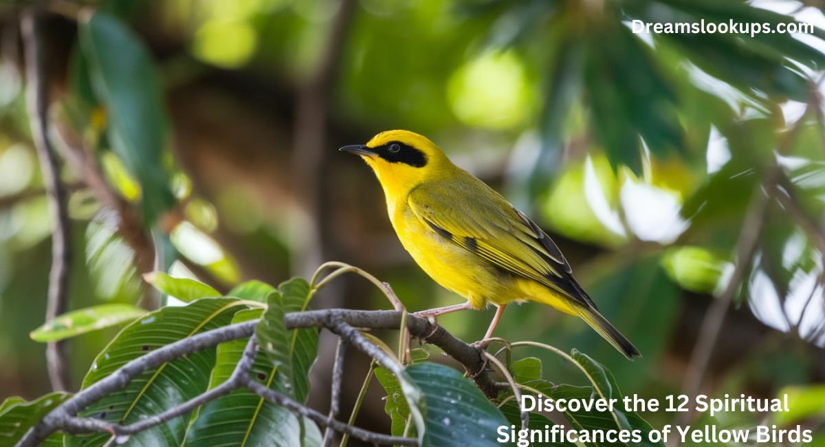 Discover the 12 Spiritual Significances of Yellow Birds