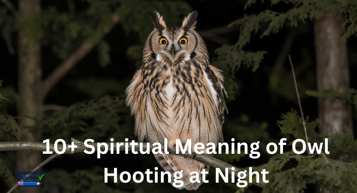 10+ Spiritual Meaning of Owl Hooting at Night