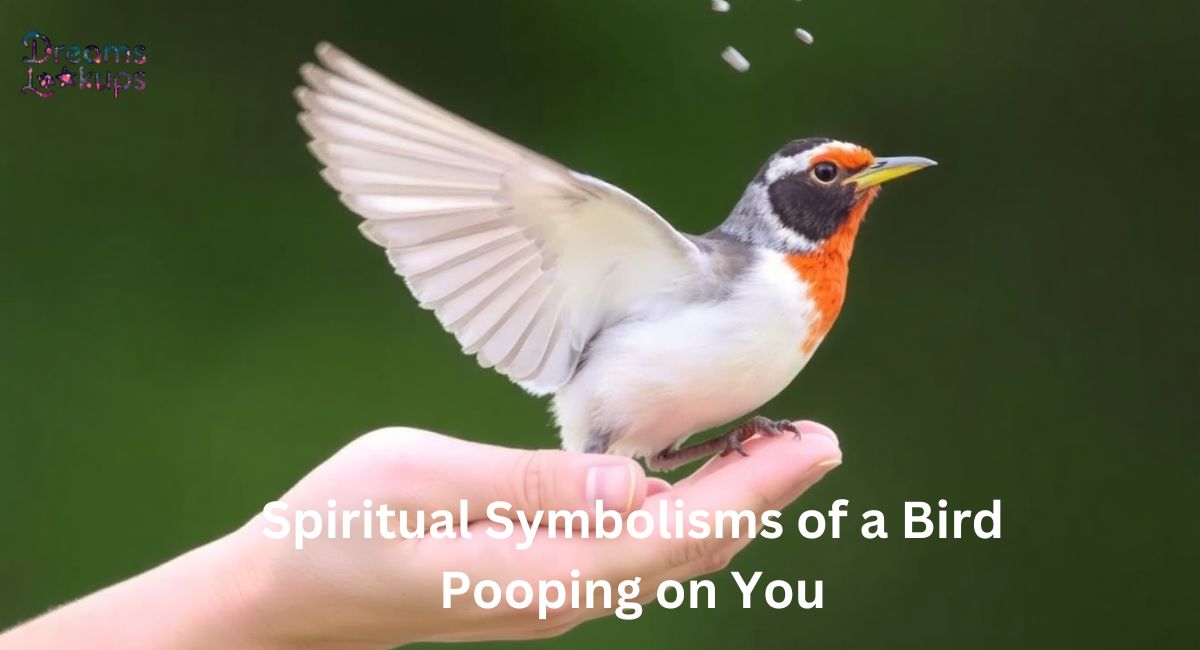 Spiritual Symbolisms of a Bird Pooping on You: What It Really Means