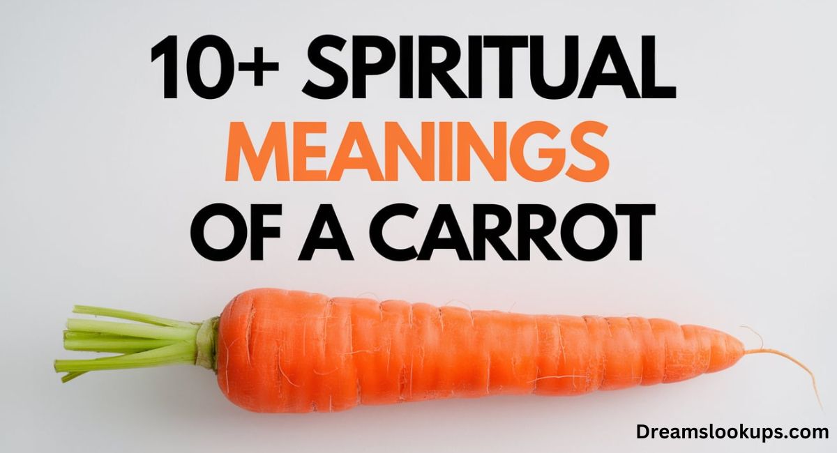 10+ Spiritual Meanings of a Carrot