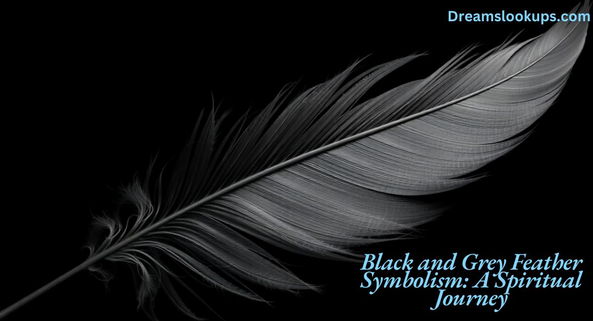 Black and Grey Feather Symbolism: A Spiritual Journey