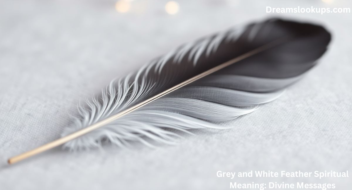 Grey and White Feather Spiritual Meaning: Divine Messages