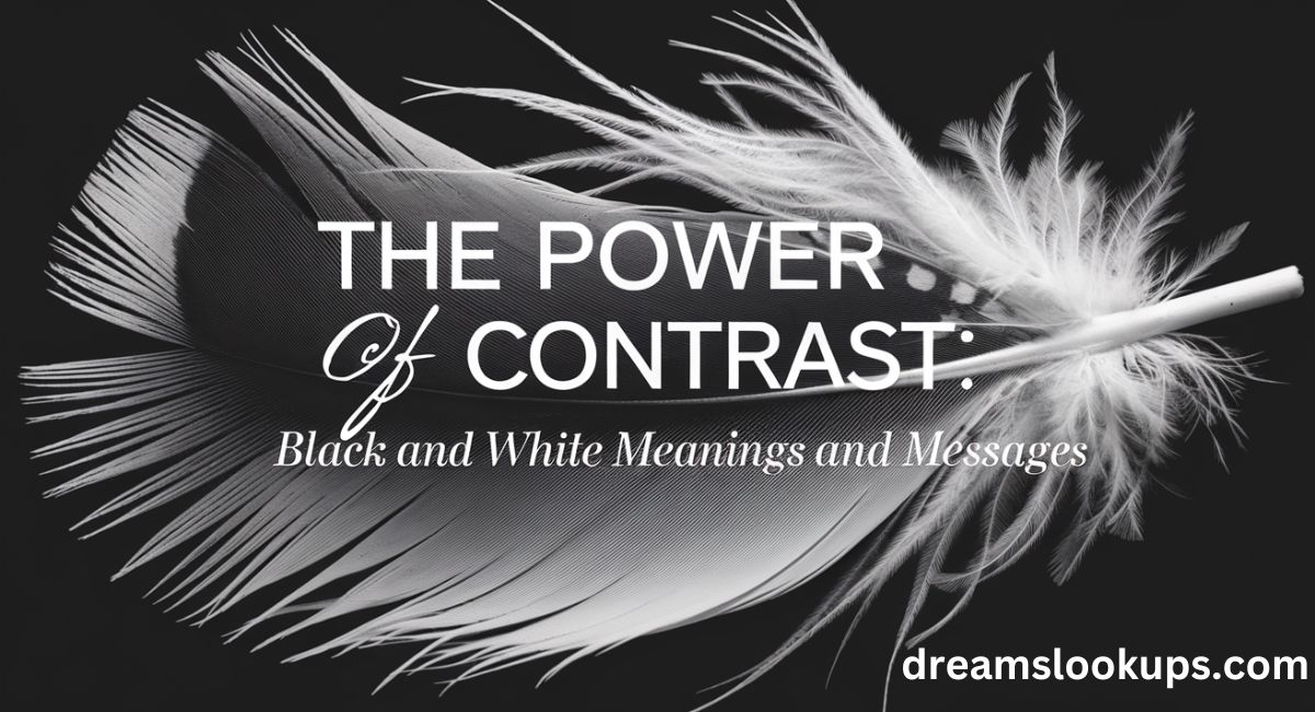 The Power of Contrast: Black and White Feather Meanings and Messages