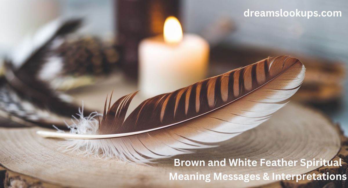 Brown and White Feather Spiritual Meaning: Messages & Interpretations